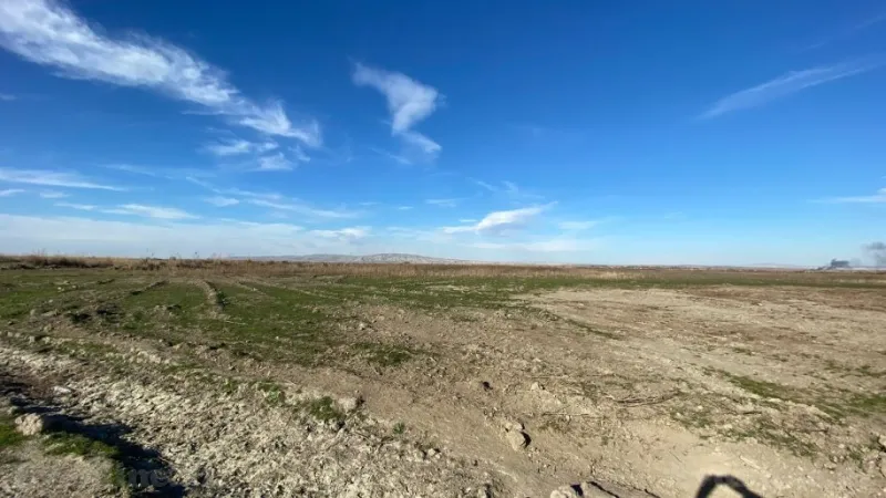 Satılır Torpaq 21500 sot Salyan - şəkil 5