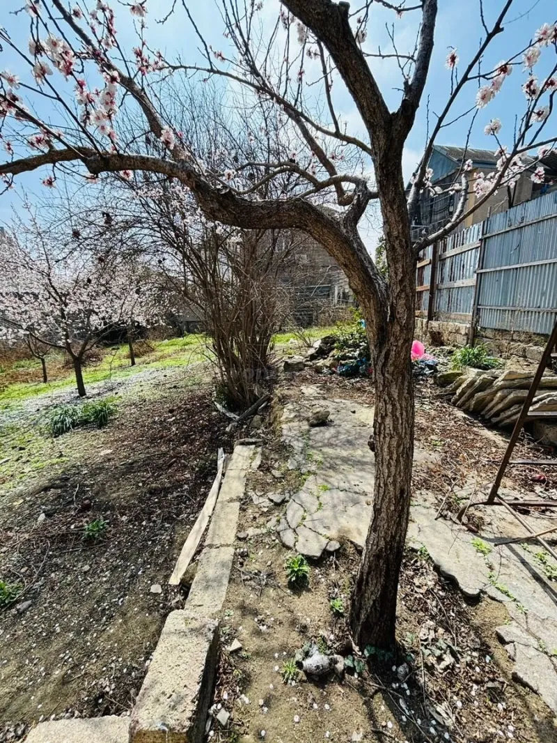 Satılır Torpaq 10 sot Sabunçu r. - şəkil 2