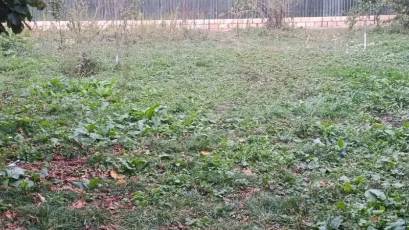 Torpaq İsmayıllı Satılır