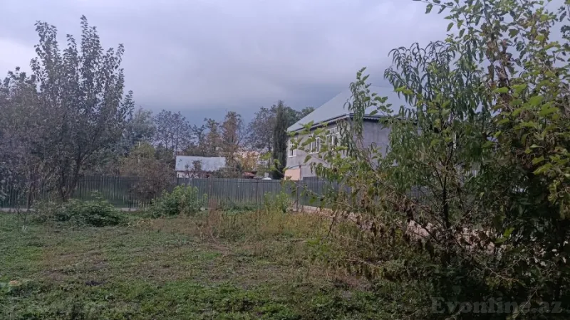 Satılır Torpaq 11.6 sot İsmayıllı - şəkil 2