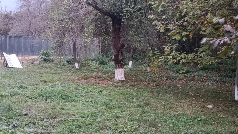 Satılır Torpaq 11.6 sot İsmayıllı - şəkil 3