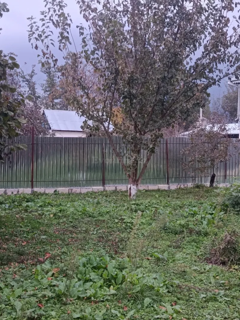 Satılır Torpaq 11.6 sot İsmayıllı - şəkil 6