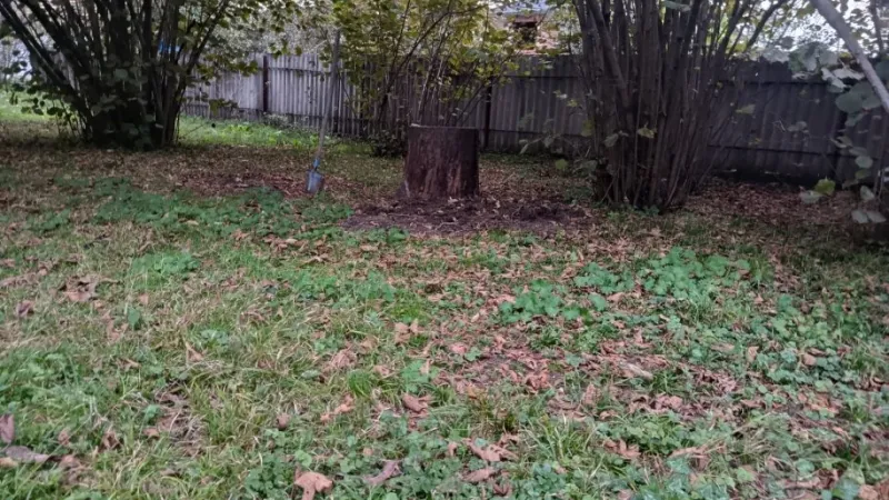 Satılır Torpaq 11.6 sot İsmayıllı - şəkil 7