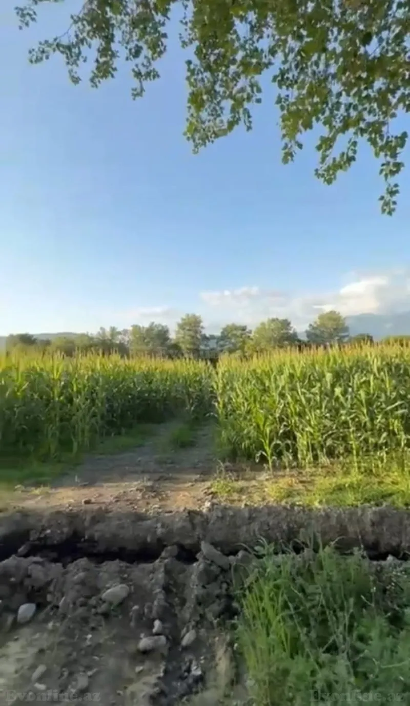 Kirayə verilir Torpaq 850 sot Qax