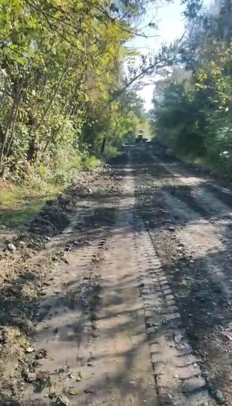 Kirayə verilir Torpaq 850 sot Qax - şəkil 5