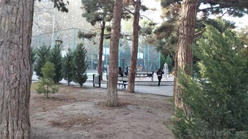 Satılır 2 otaqlı Mənzil Köhnə tikili 65 m² 8-ci mikrorayon - şəkil 15