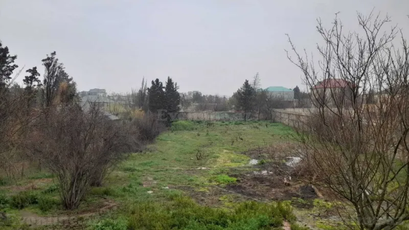 Satılır Torpaq 12 sot Bilgəh