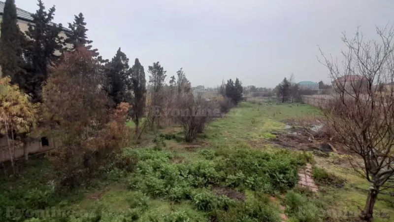 Satılır Torpaq 12 sot Bilgəh - şəkil 3