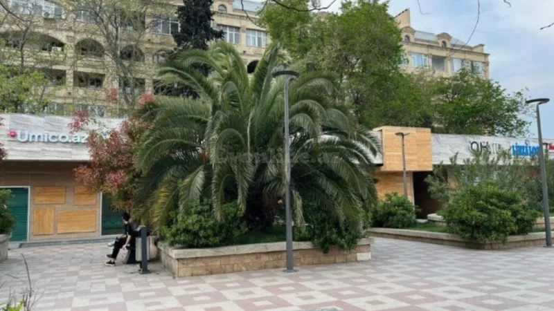 Satılır 2 otaqlı Mənzil Köhnə tikili 55 m² Gənclik m.