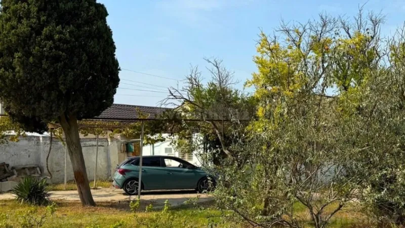 Satılır Torpaq 25 sot Novxanı - şəkil 2