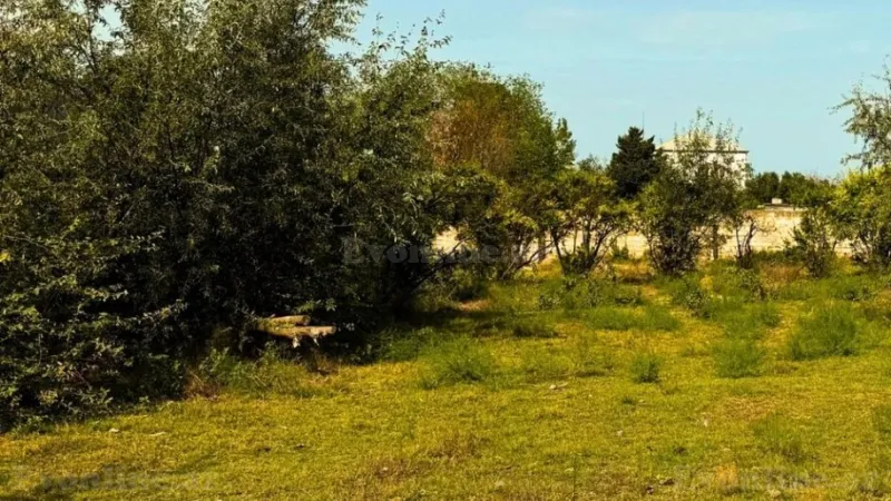 Satılır Torpaq 25 sot Novxanı - şəkil 3