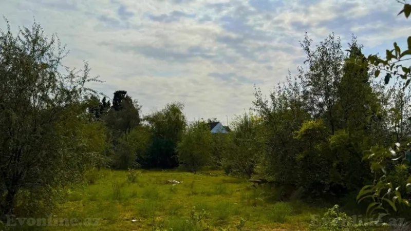 Satılır Torpaq 25 sot Novxanı - şəkil 5