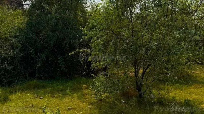 Satılır Torpaq 25 sot Novxanı - şəkil 7