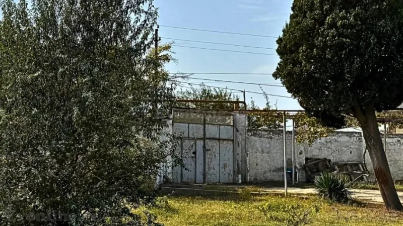 Satılır Torpaq 25 sot Novxanı - şəkil 9