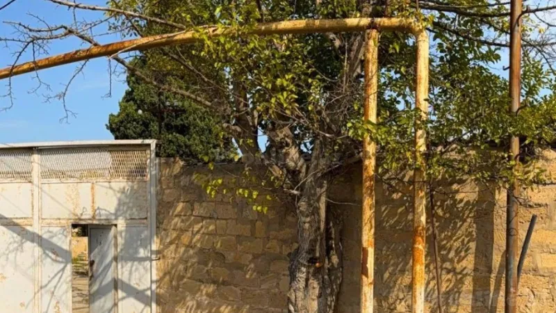 Satılır Torpaq 25 sot Novxanı - şəkil 11