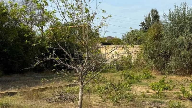 Satılır Torpaq 25 sot Novxanı - şəkil 18