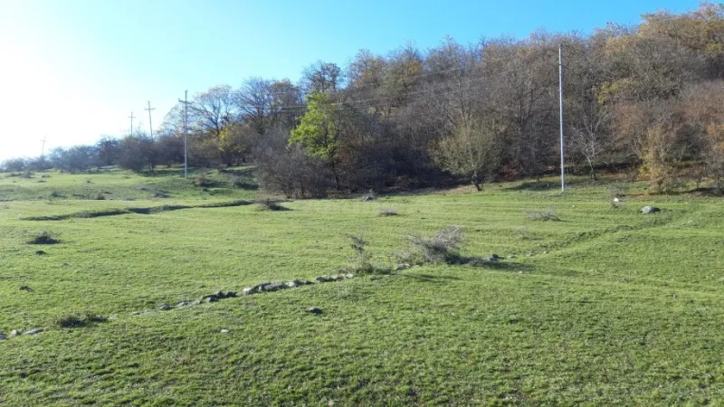 Torpaq Qusar Satılır