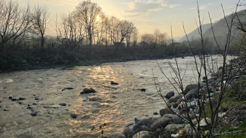 Satılır Torpaq 13 sot Lənkəran - şəkil 2