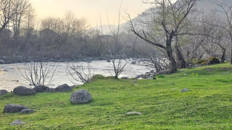 Satılır Torpaq 13 sot Lənkəran - şəkil 5