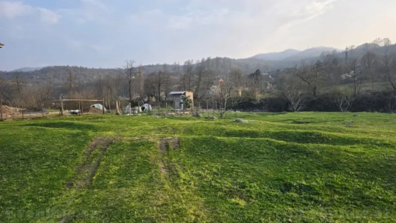 Satılır Torpaq 13 sot Lənkəran - şəkil 6