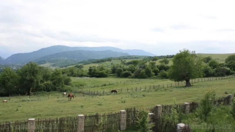 Satılır Torpaq 10 sot Quba - şəkil 4