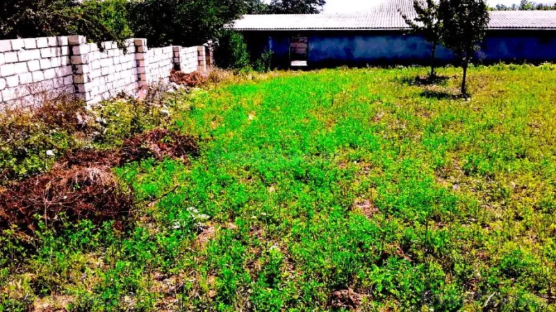 Satılır Torpaq 10 sot Quba - şəkil 11