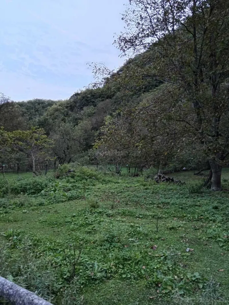 Satılır Torpaq 11 sot Oğuz