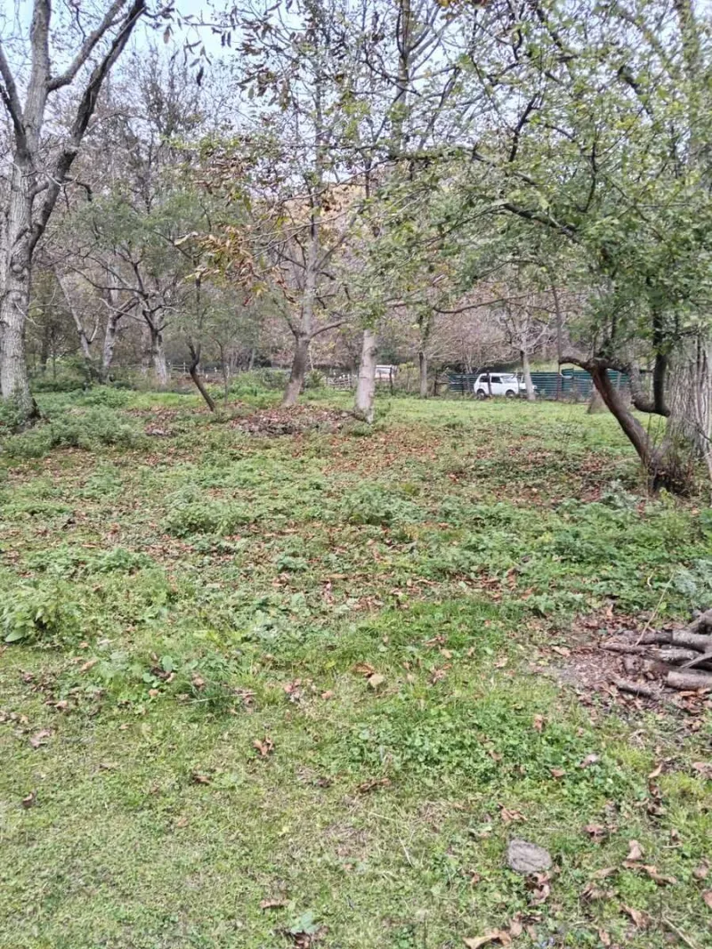 Satılır Torpaq 11 sot Oğuz - şəkil 2