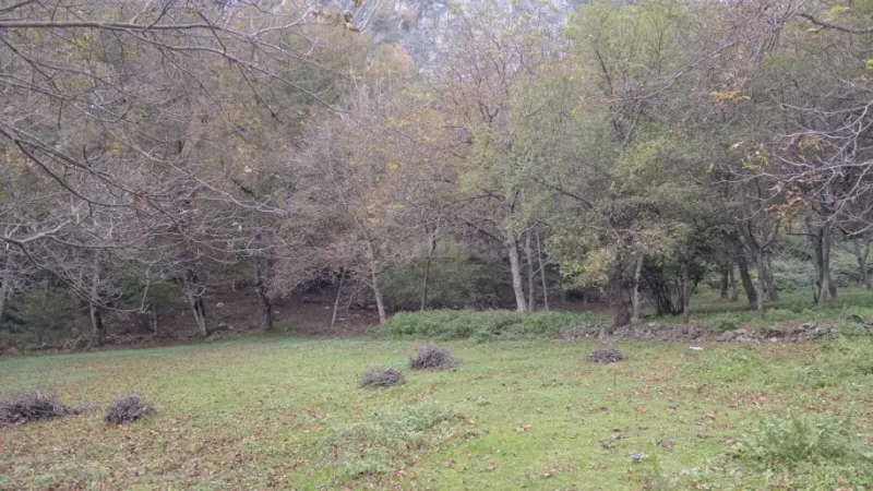 Satılır Torpaq 11 sot Oğuz - şəkil 4