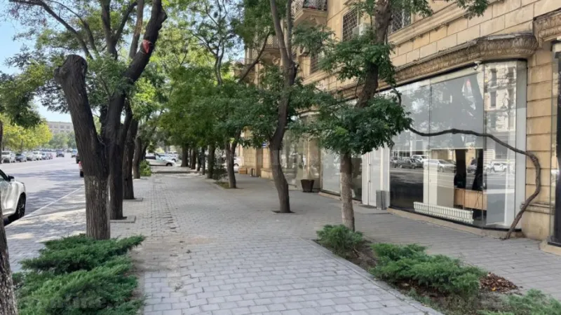 Satılır Obyekt 250 m² Elmlər Akademiyası m. - şəkil 3