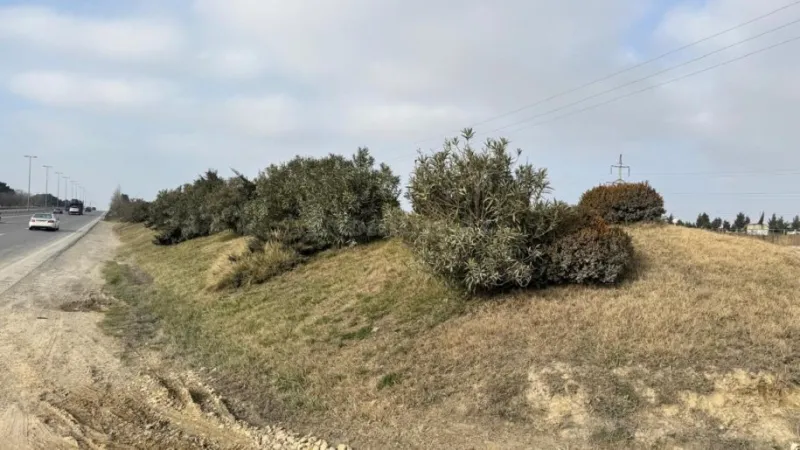 Satılır Torpaq 65 sot Avtovağzal m.