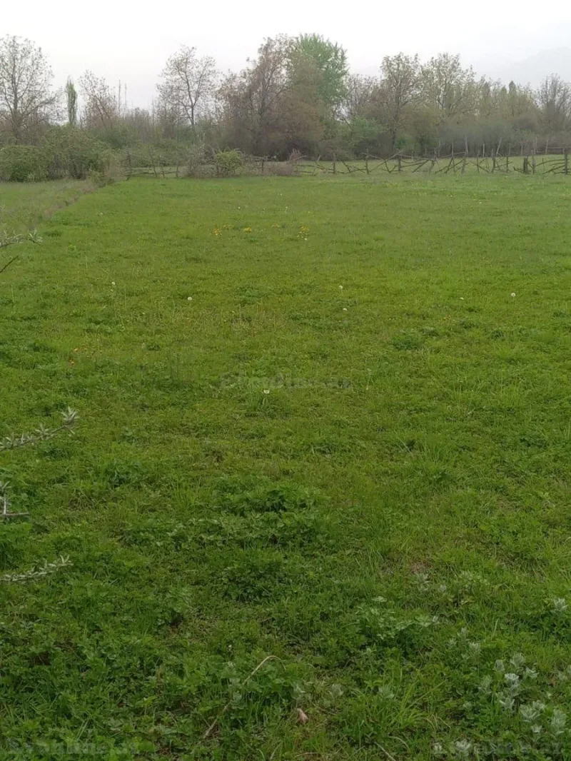 Satılır Torpaq 23 sot Qəbələ - şəkil 3