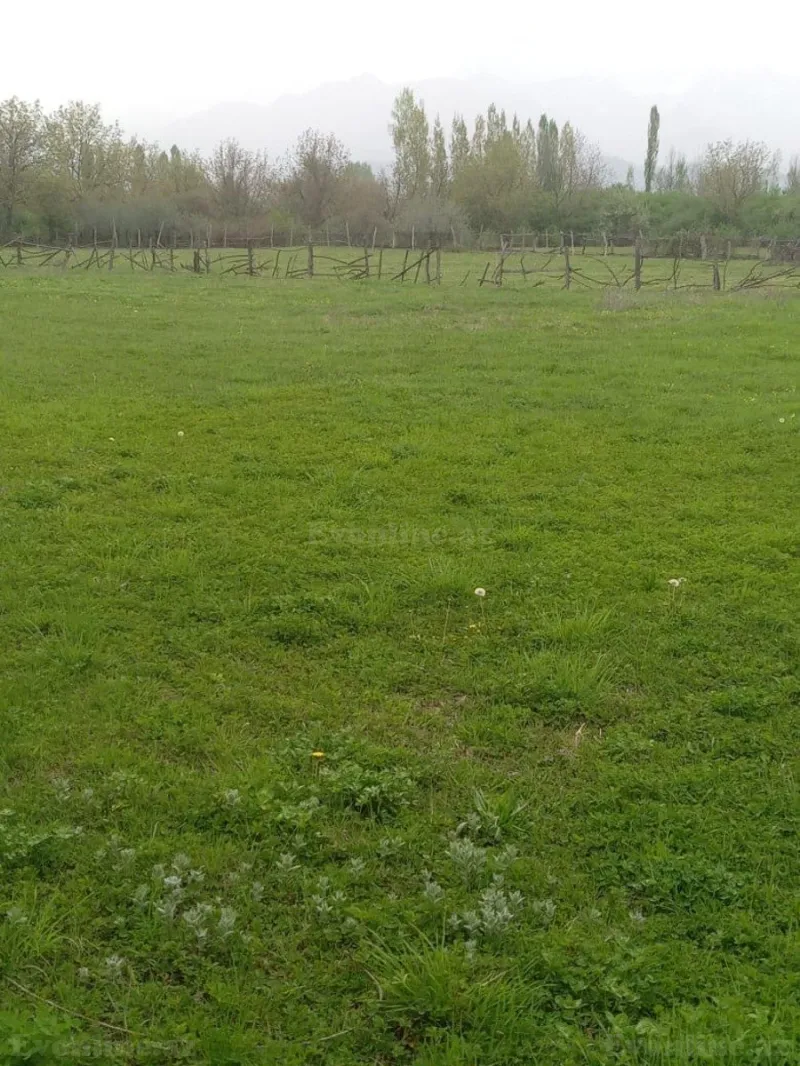 Satılır Torpaq 23 sot Qəbələ - şəkil 4