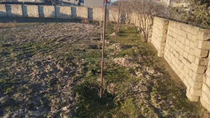 Satılır Torpaq 11 sot Novxanı - şəkil 2