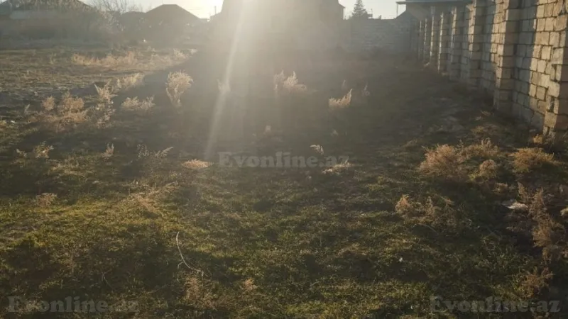 Satılır Torpaq 11 sot Novxanı - şəkil 3