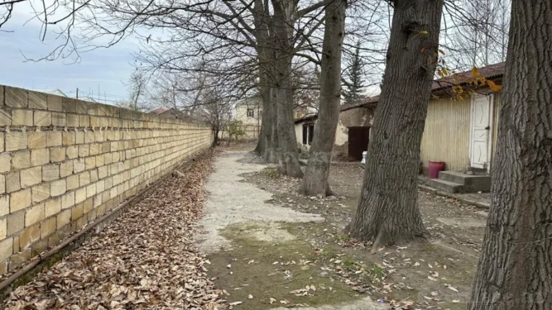 Satılır Obyekt 6000 m² Sabirabad - şəkil 5