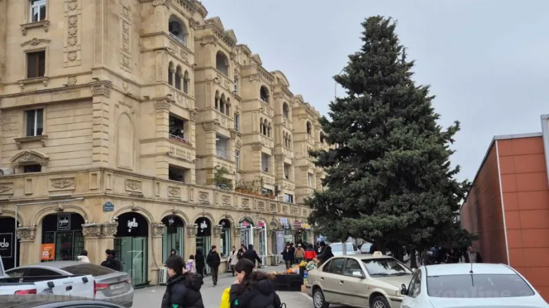 Satılır Obyekt 324 m² Gənclik m. - şəkil 11