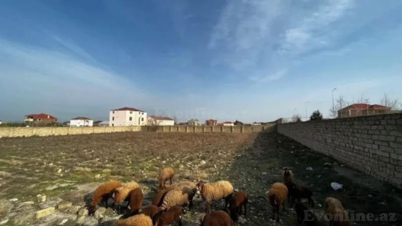 Bakı, Abşeron r., Görədilda torpaq satılır