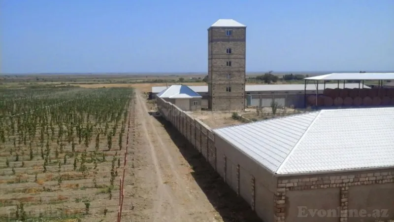 Satılır Obyekt 2600 m² Şabran - şəkil 2