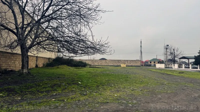 Satılır Torpaq 20 sot Zaqatala - şəkil 3