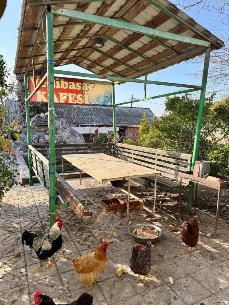 Satılır Obyekt 1200 m² Binəqədi - şəkil 21