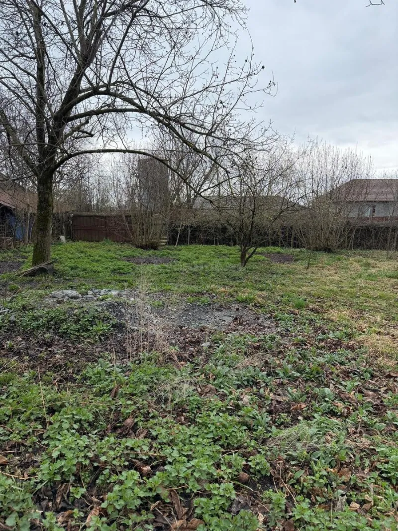 Satılır Torpaq 3.6 sot Qəbələ - şəkil 4