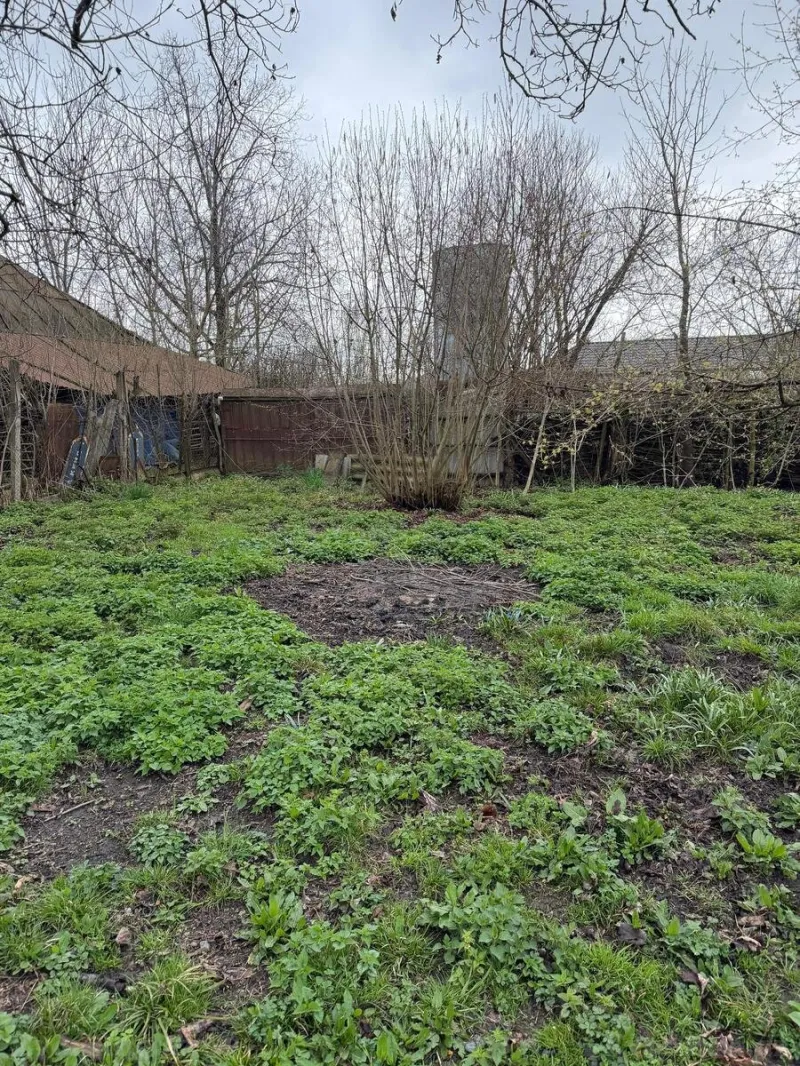 Satılır Torpaq 3.6 sot Qəbələ - şəkil 5