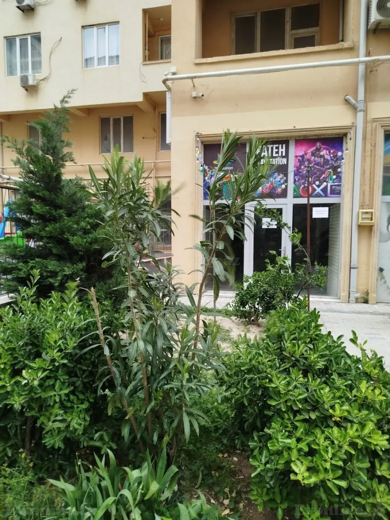 Kirayə verilir Obyekt 45 m² Zığ