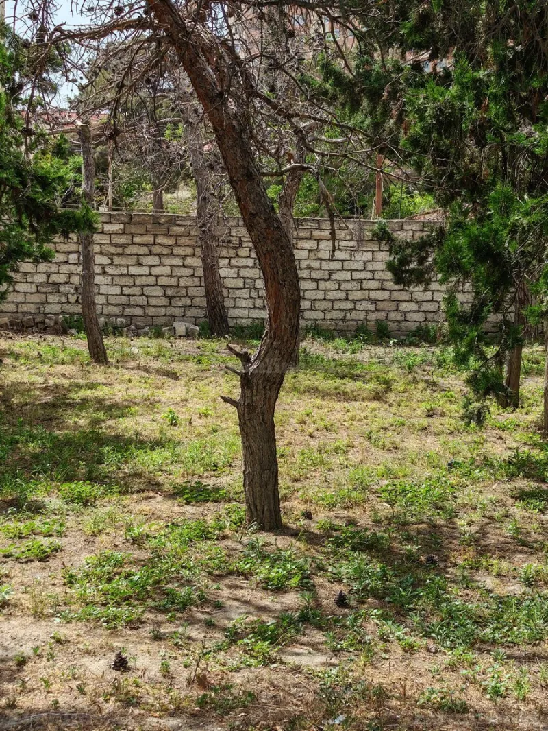 Bakı, Nizami r., Qara Qarayev m., 8-ci kilometrda torpaq satılır