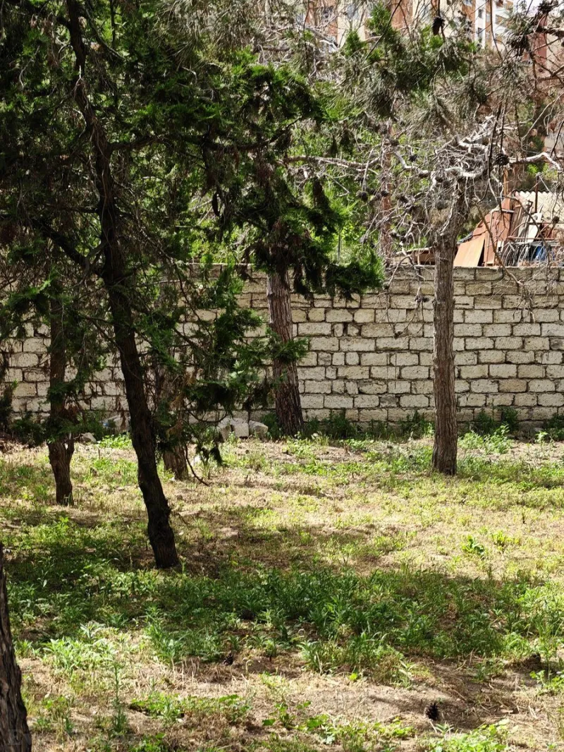 Satılır Torpaq 6 sot 8-ci kilometr - şəkil 2