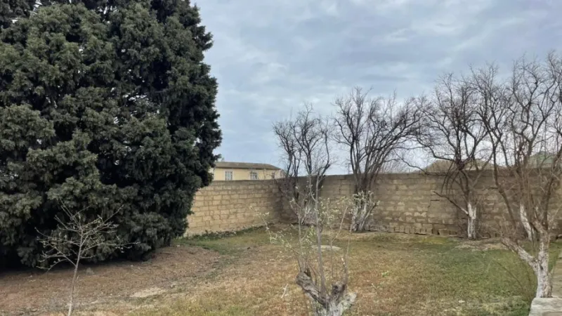 Torpaq Şamaxı Satılır