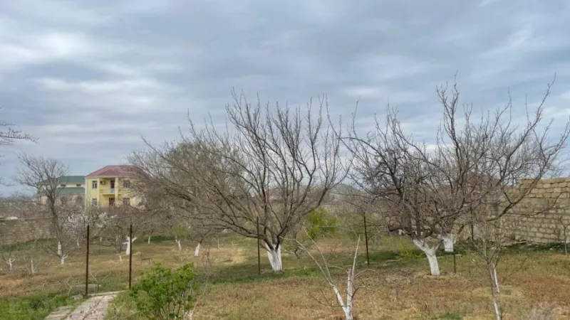 Satılır Torpaq 578 sot Şamaxı - şəkil 3