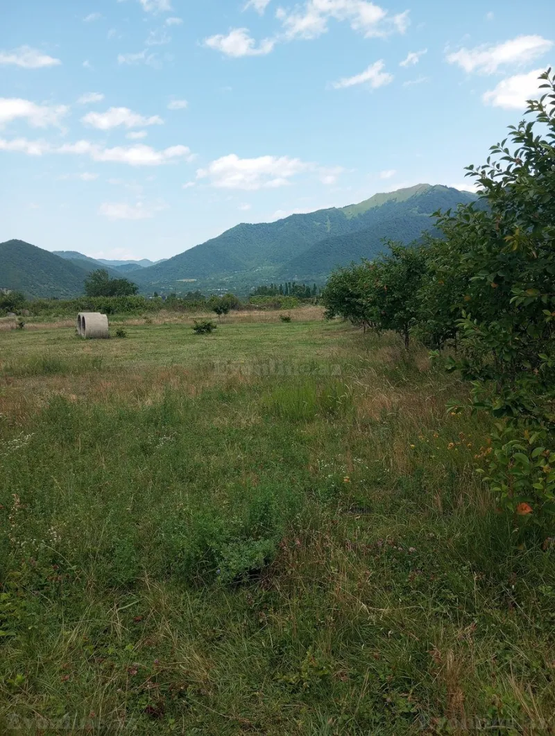 Torpaq Şəki Satılır