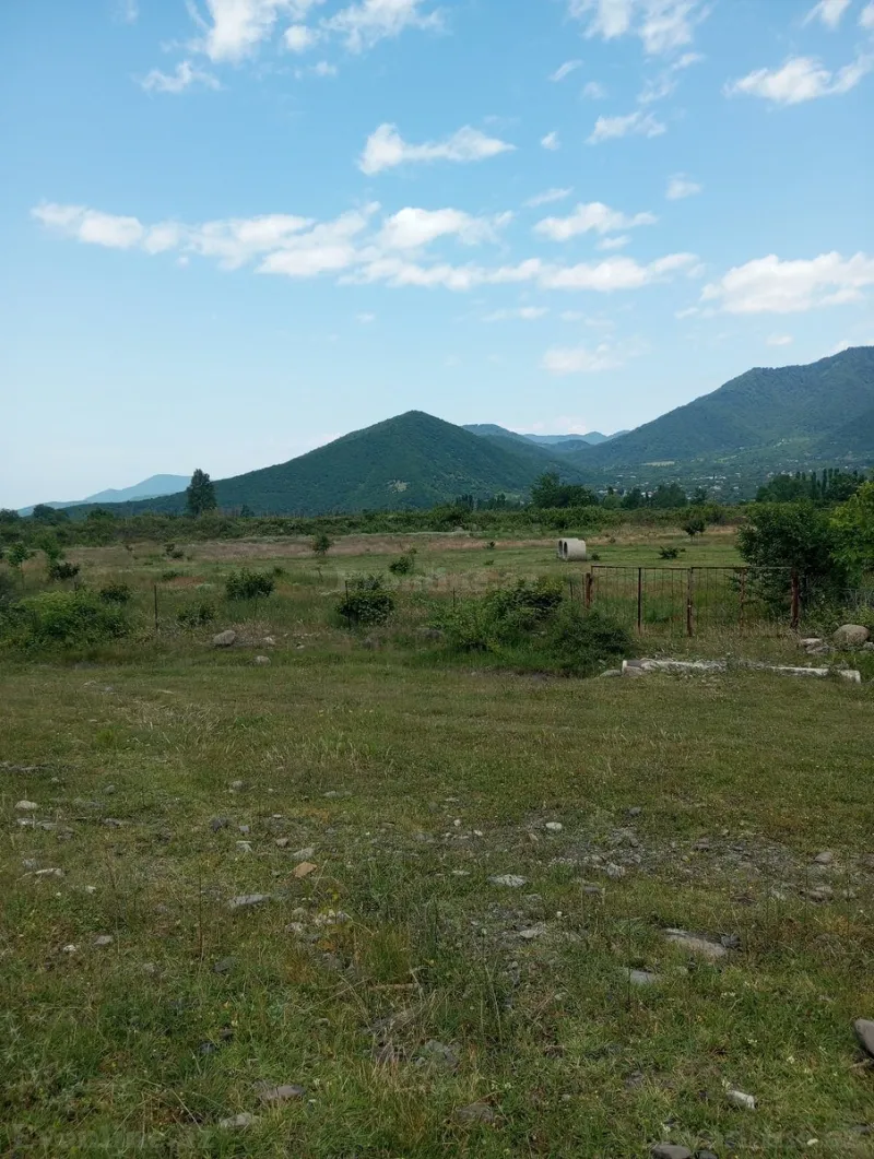 Satılır Torpaq 38 sot Şəki - şəkil 2